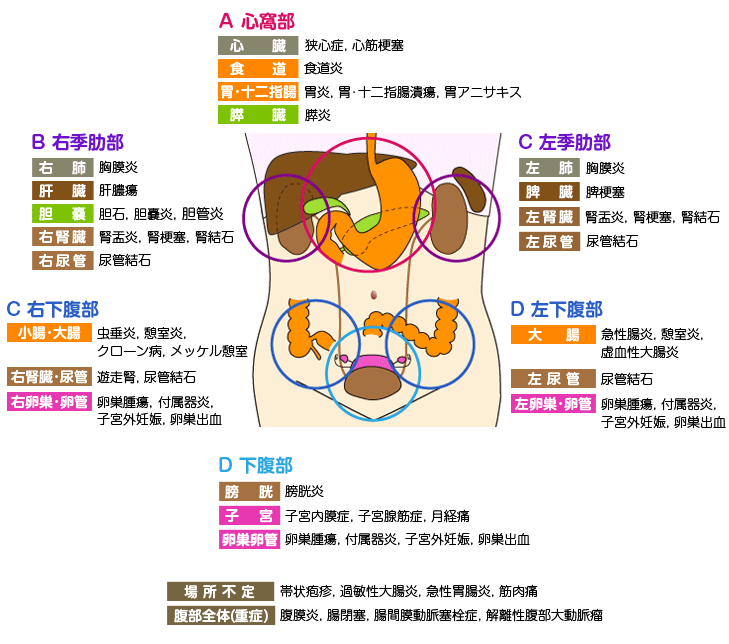 仰向け 腹痛